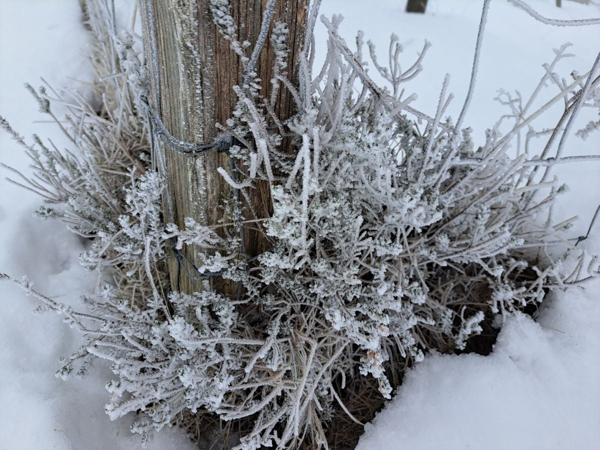 Fotos: Las mejores imágenes de la subida a Larre