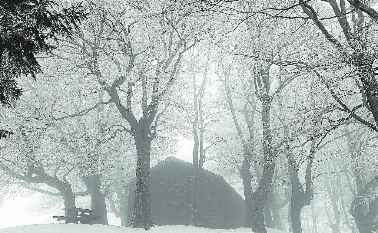 La nieve congelada cubría las ramas de las enormes hayas y la niebla los envolvía, ofreciendo una preciosa estampa.