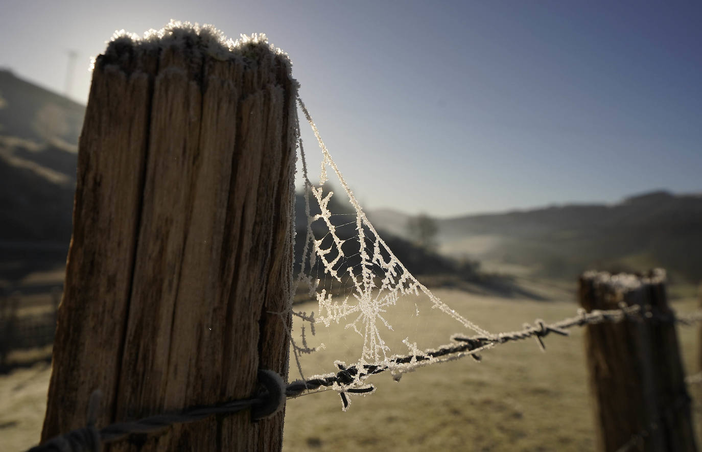 Fotos: Última noche de heladas en Gipuzkoa