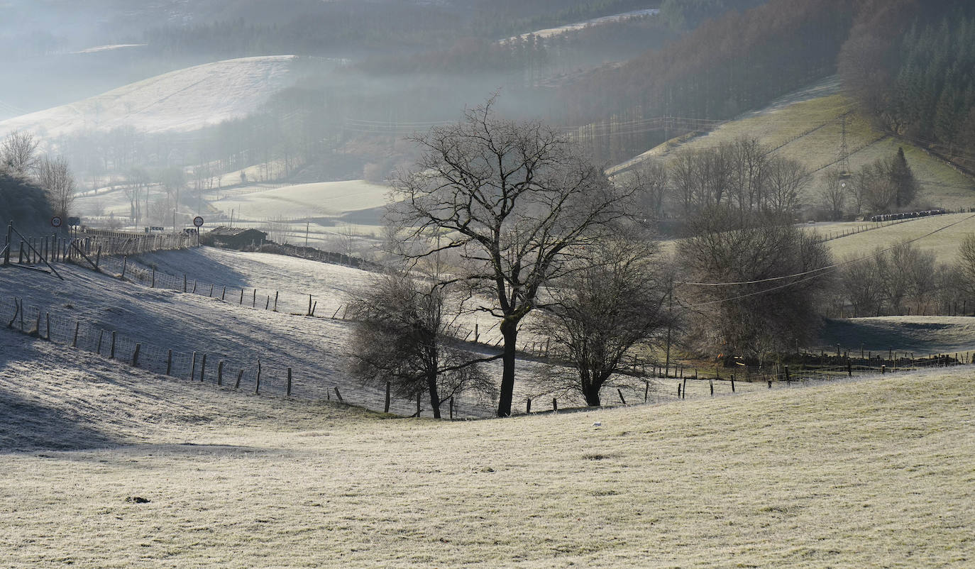 Fotos: Última noche de heladas en Gipuzkoa