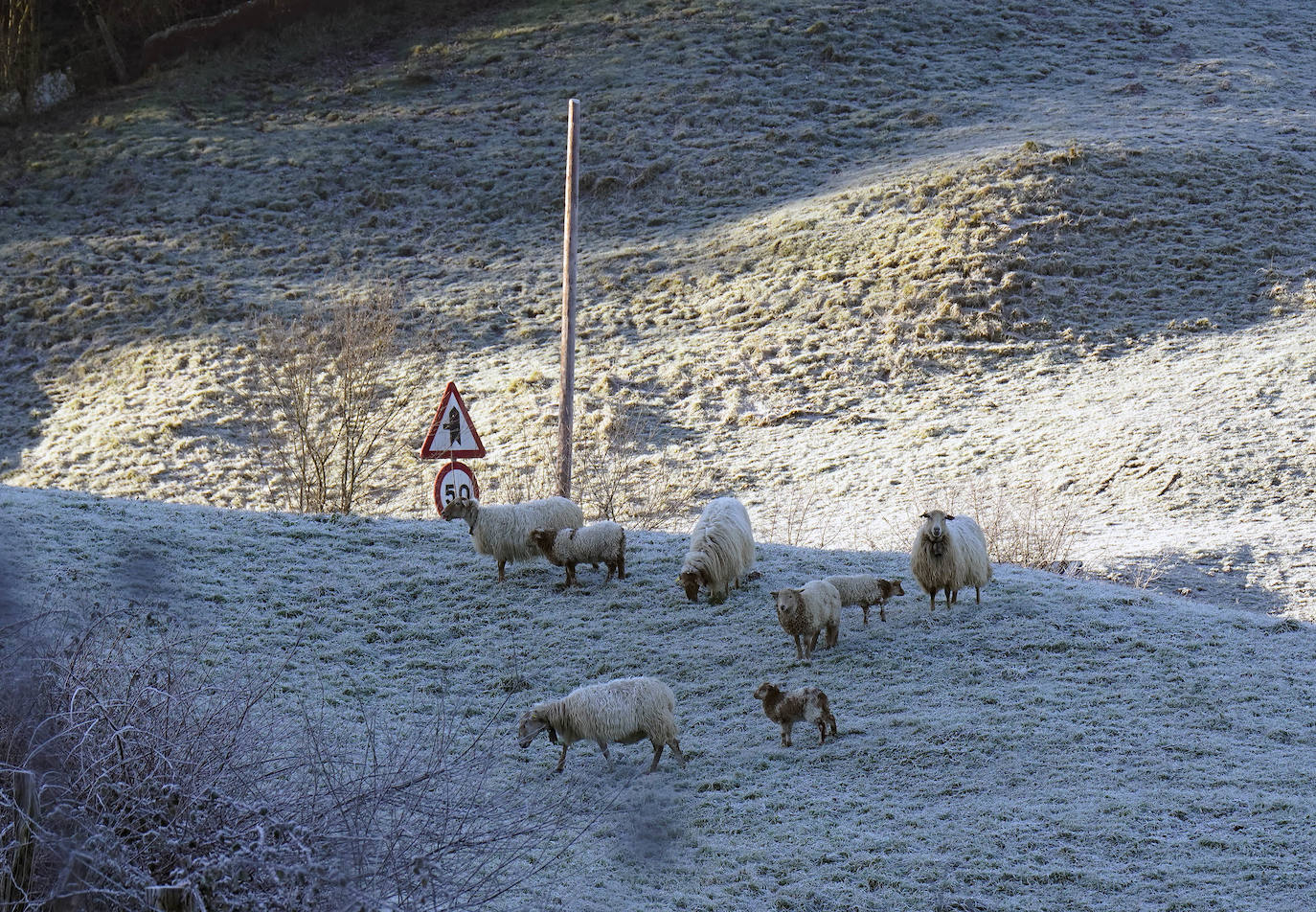 Fotos: Última noche de heladas en Gipuzkoa