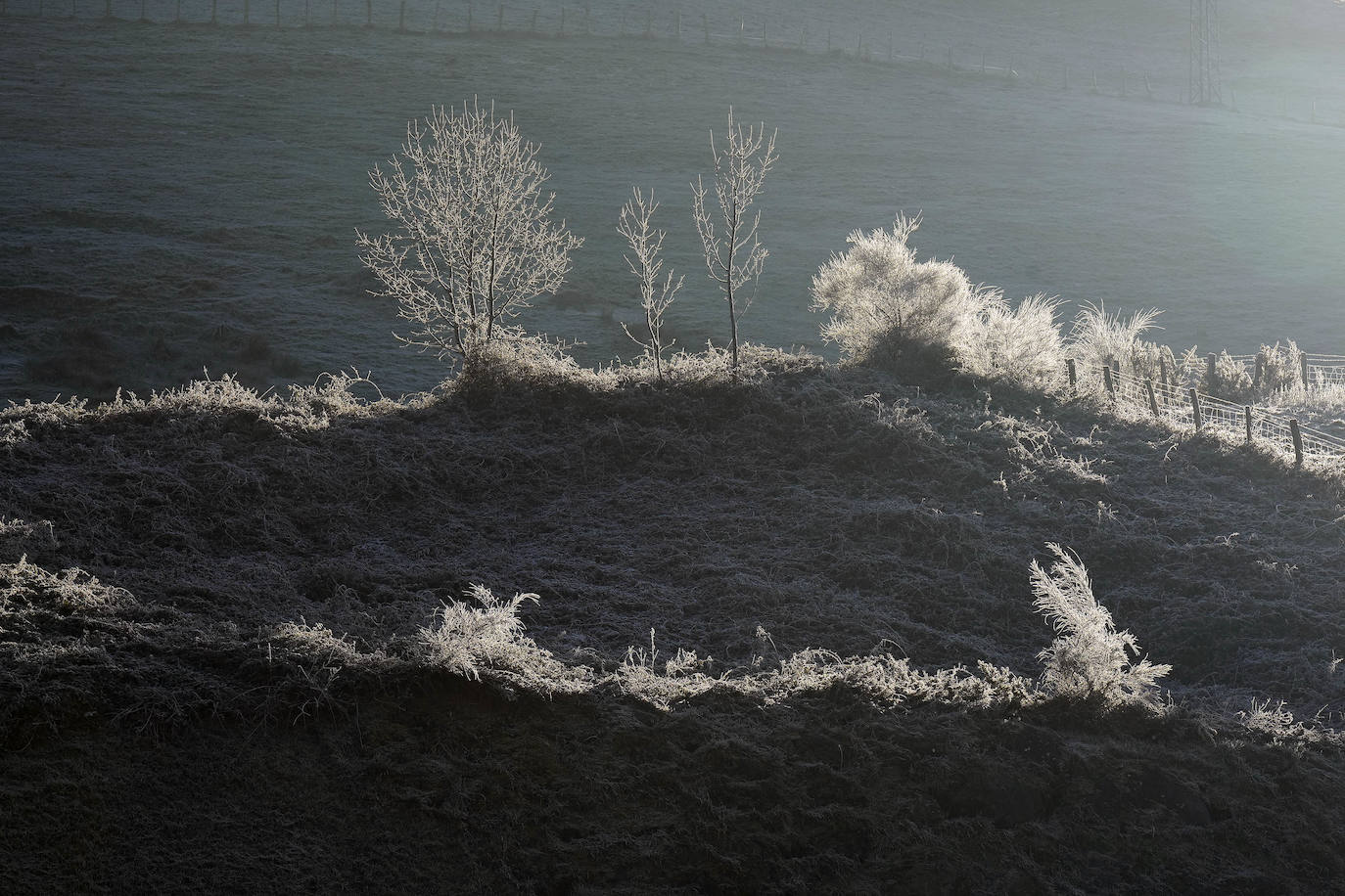 Fotos: Última noche de heladas en Gipuzkoa