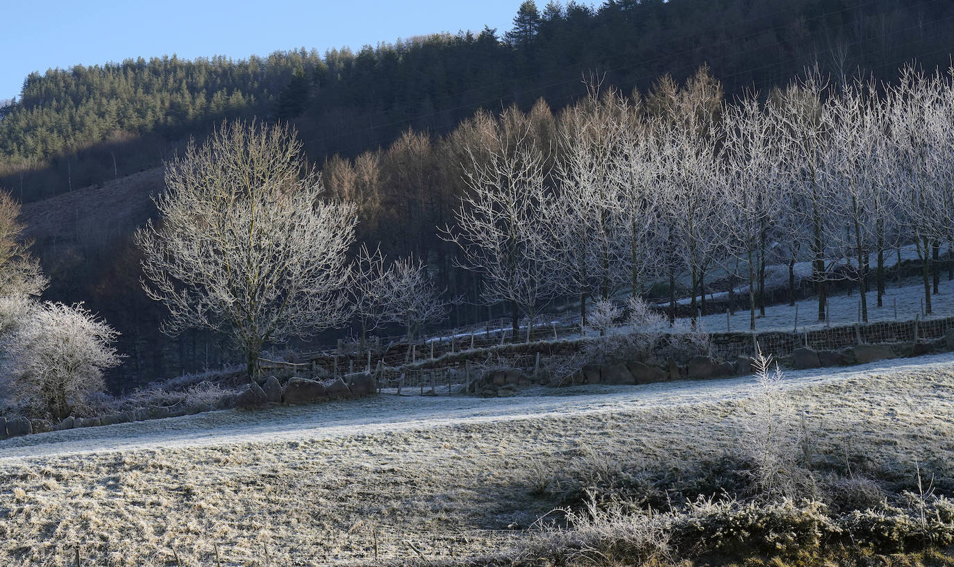 Fotos: Última noche de heladas en Gipuzkoa
