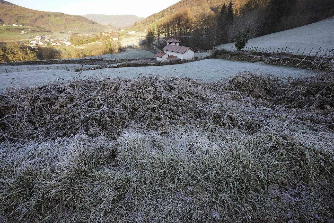 Fotos: Última noche de heladas en Gipuzkoa