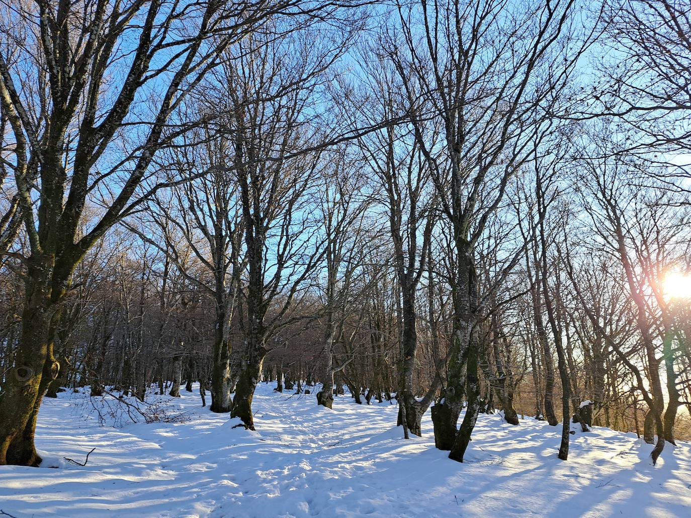Fotos: Eguzkizko Muinoa, entre nieve y rayos de sol