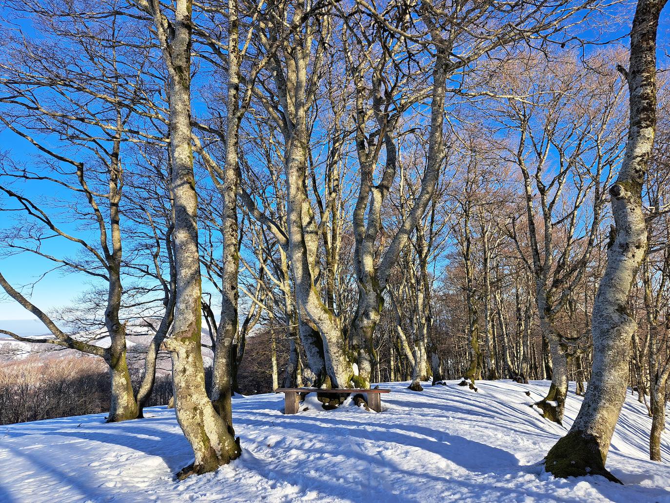 Fotos: Eguzkizko Muinoa, entre nieve y rayos de sol