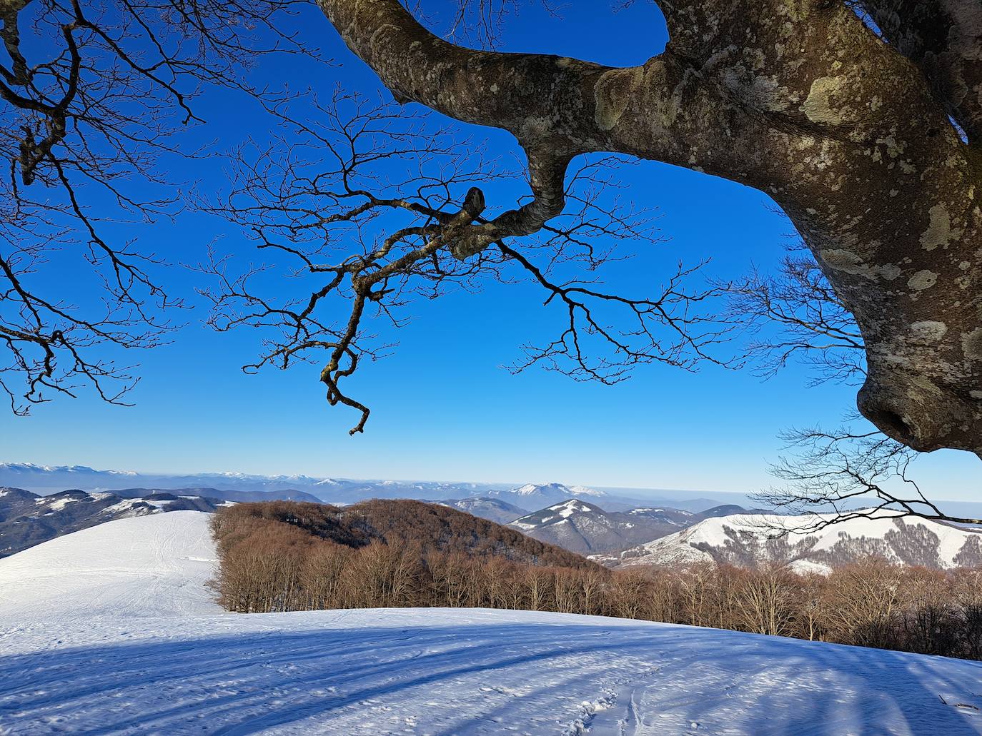 Fotos: Eguzkizko Muinoa, entre nieve y rayos de sol
