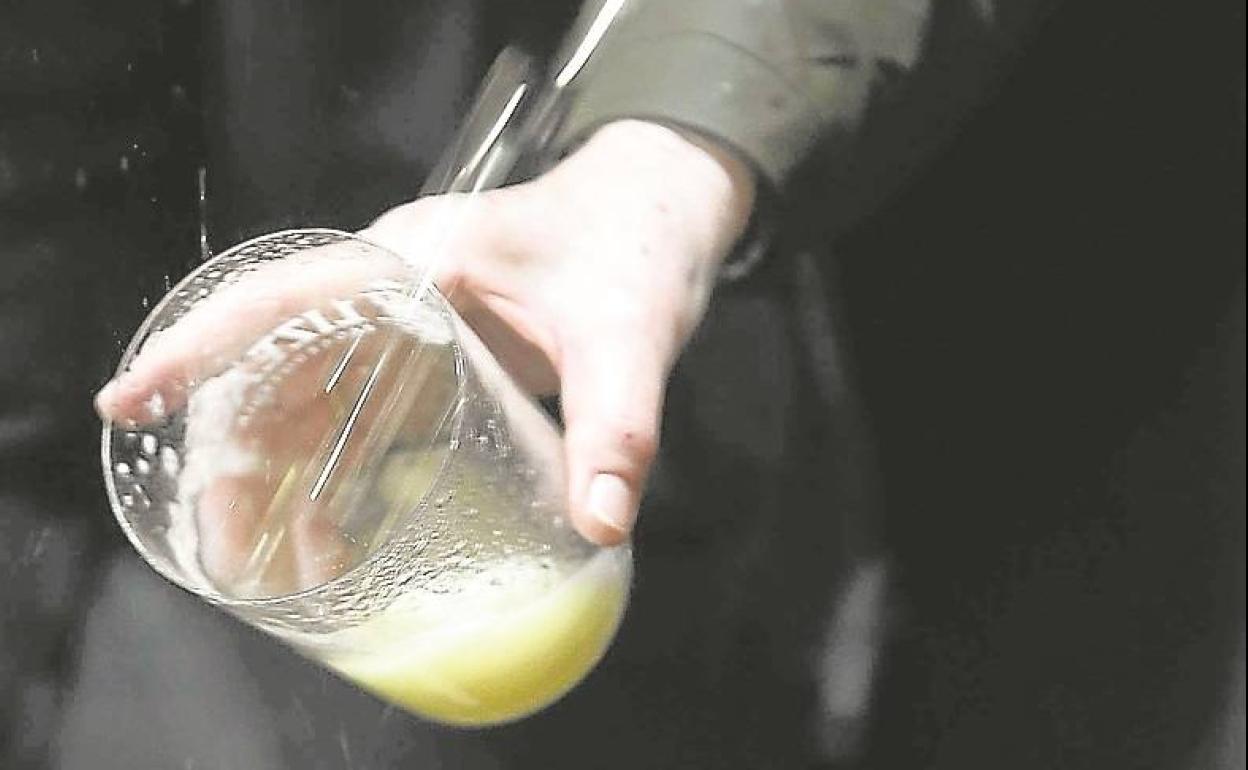 Nongo sagarrondotik ateratako aleekin eginda ote dago sagardo hau? 