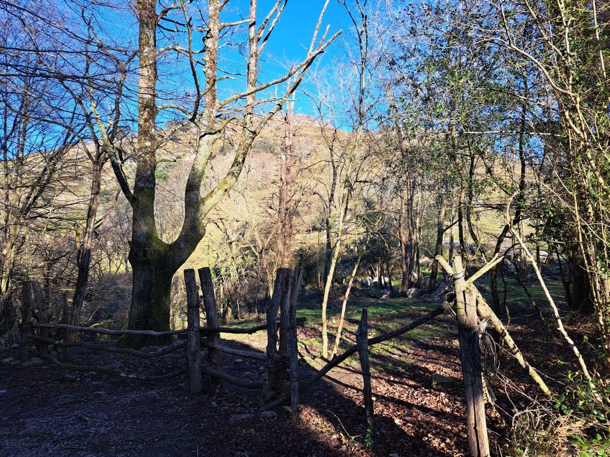 Fotos: Ertxiña, con los ojos en la Suiza del Urola