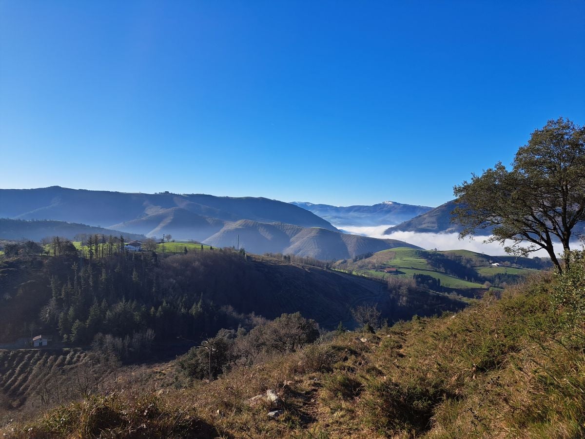 Fotos: Ertxiña, con los ojos en la Suiza del Urola
