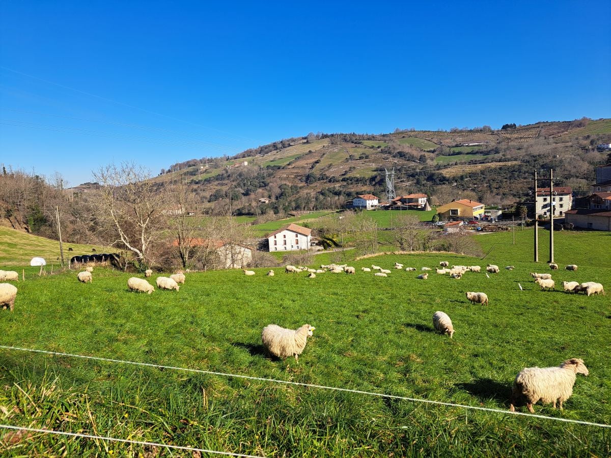 Fotos: Ertxiña, con los ojos en la Suiza del Urola