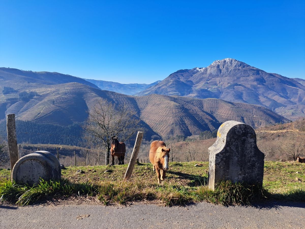 Fotos: Ertxiña, con los ojos en la Suiza del Urola