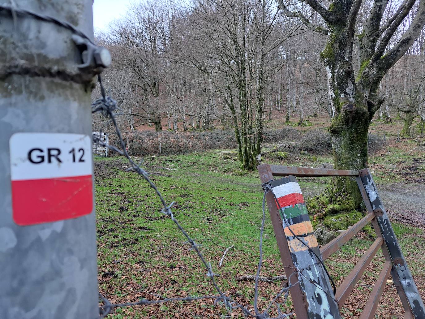 Saioa, una balconada que impresiona
