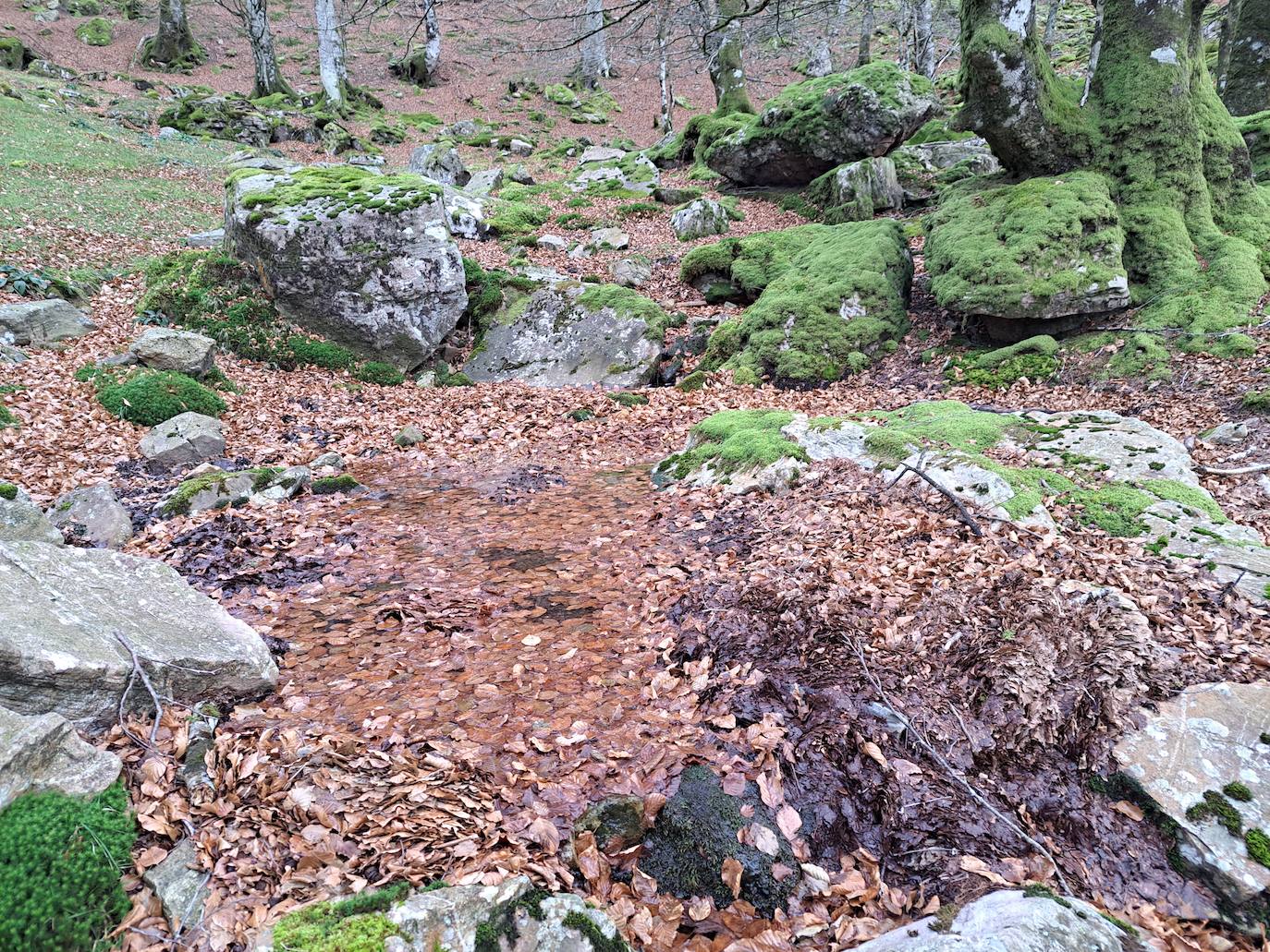 Saioa, una balconada que impresiona