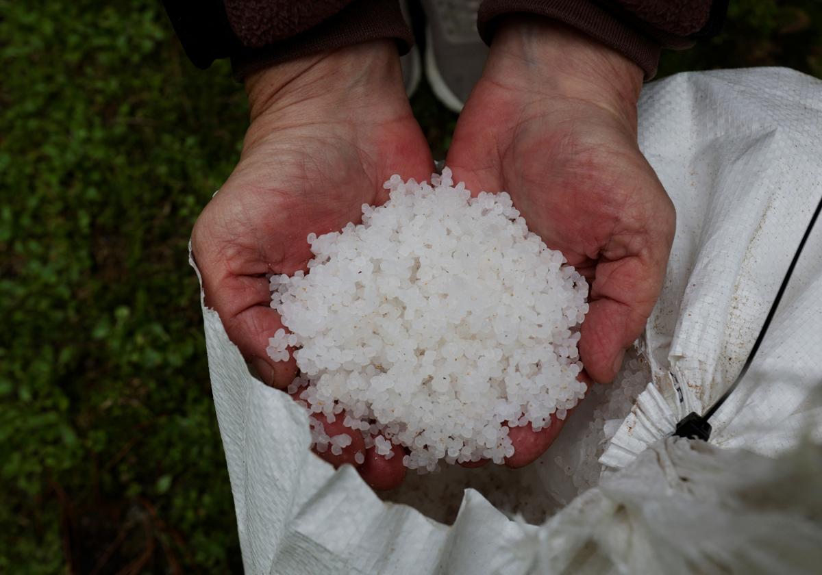 Un voluntario muestra los pellets recogidos en Ribeira.