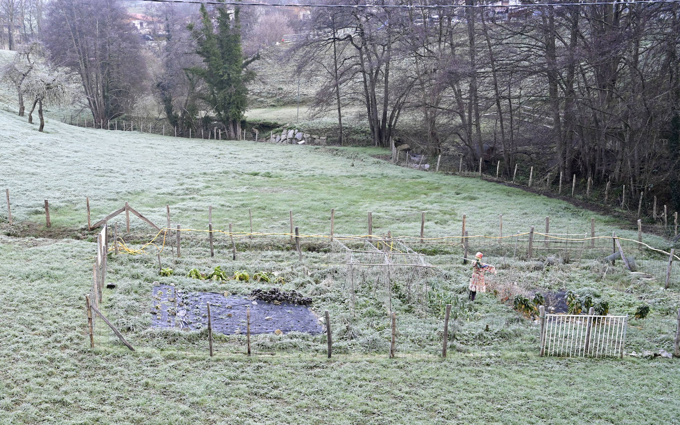 Frío y cielos despejados