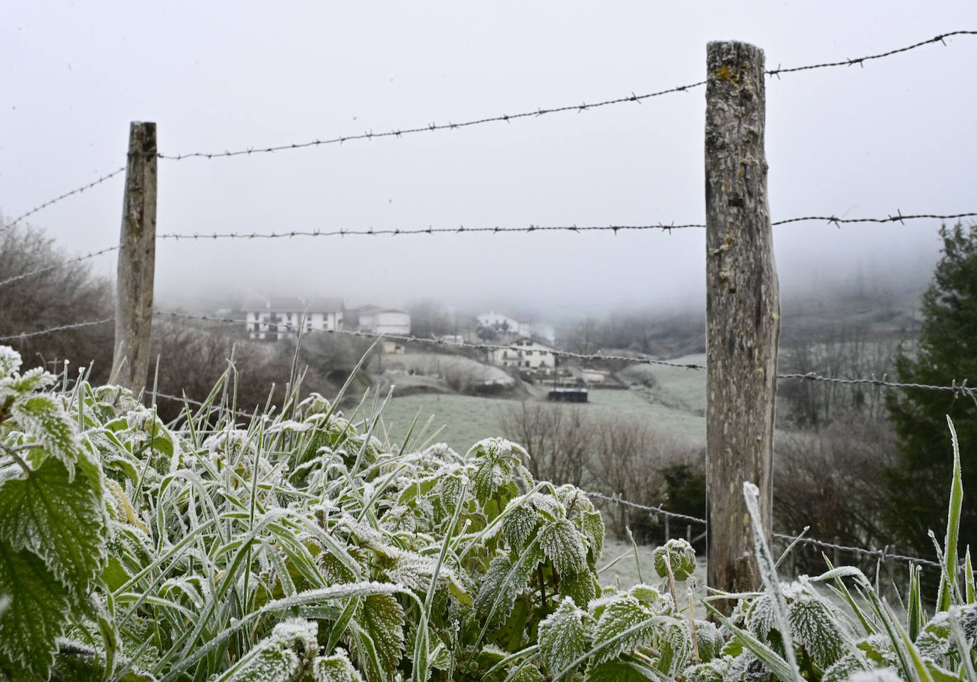 Frío y cielos despejados