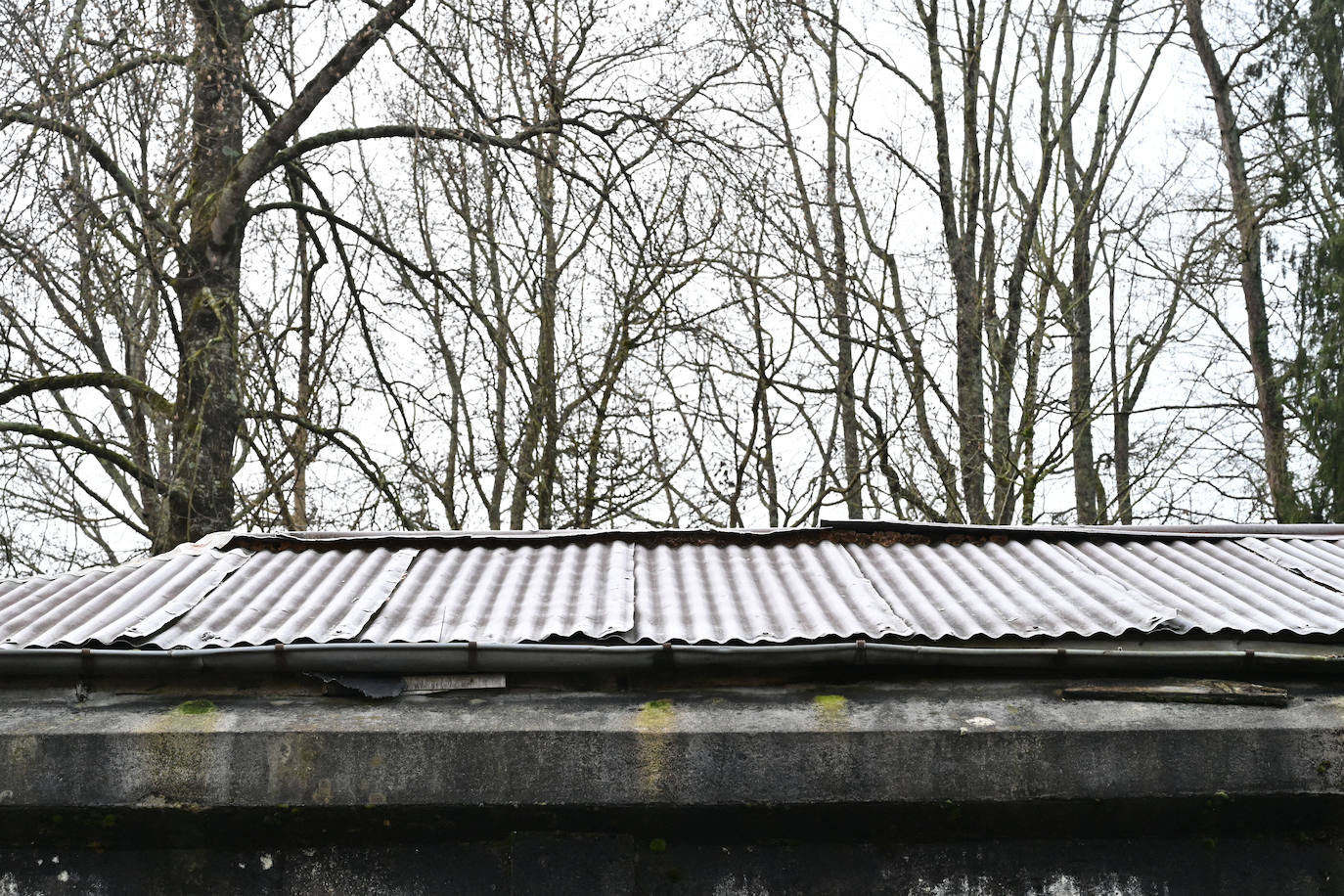 Frío y cielos despejados