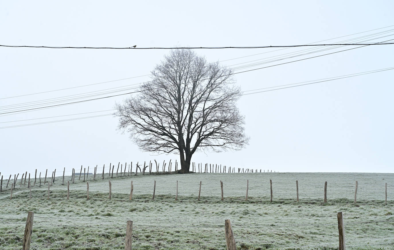 Imagen secundaria 1 - Bidania ha amanecido bajo una capa de hielo. 