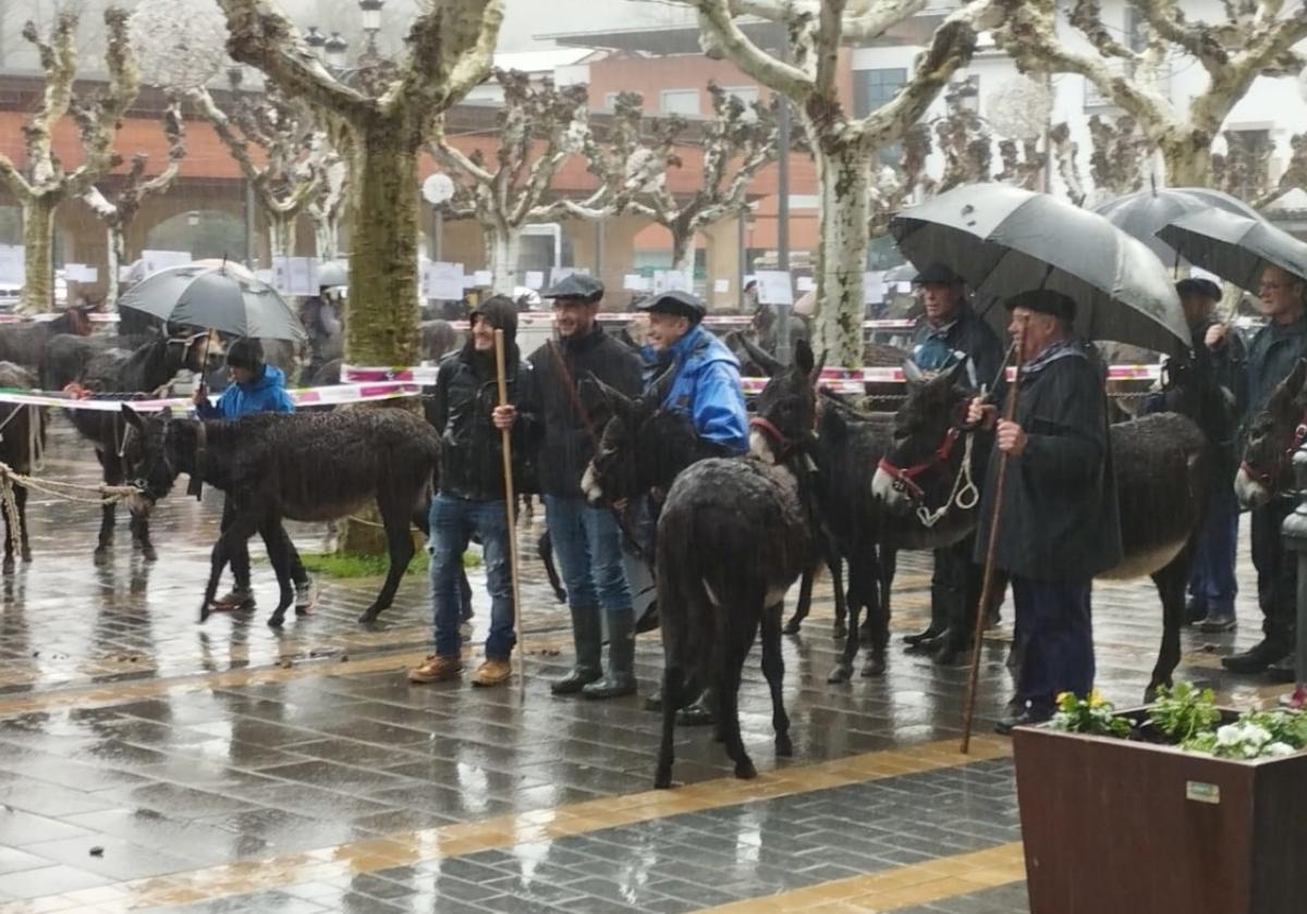 Los responsables de los burros, comandados por Joxpi, posan con los protagonistas de la jornada bajo una intensa lluvia.