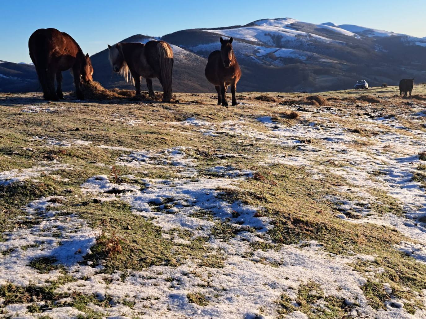 Frío y cielos despejados