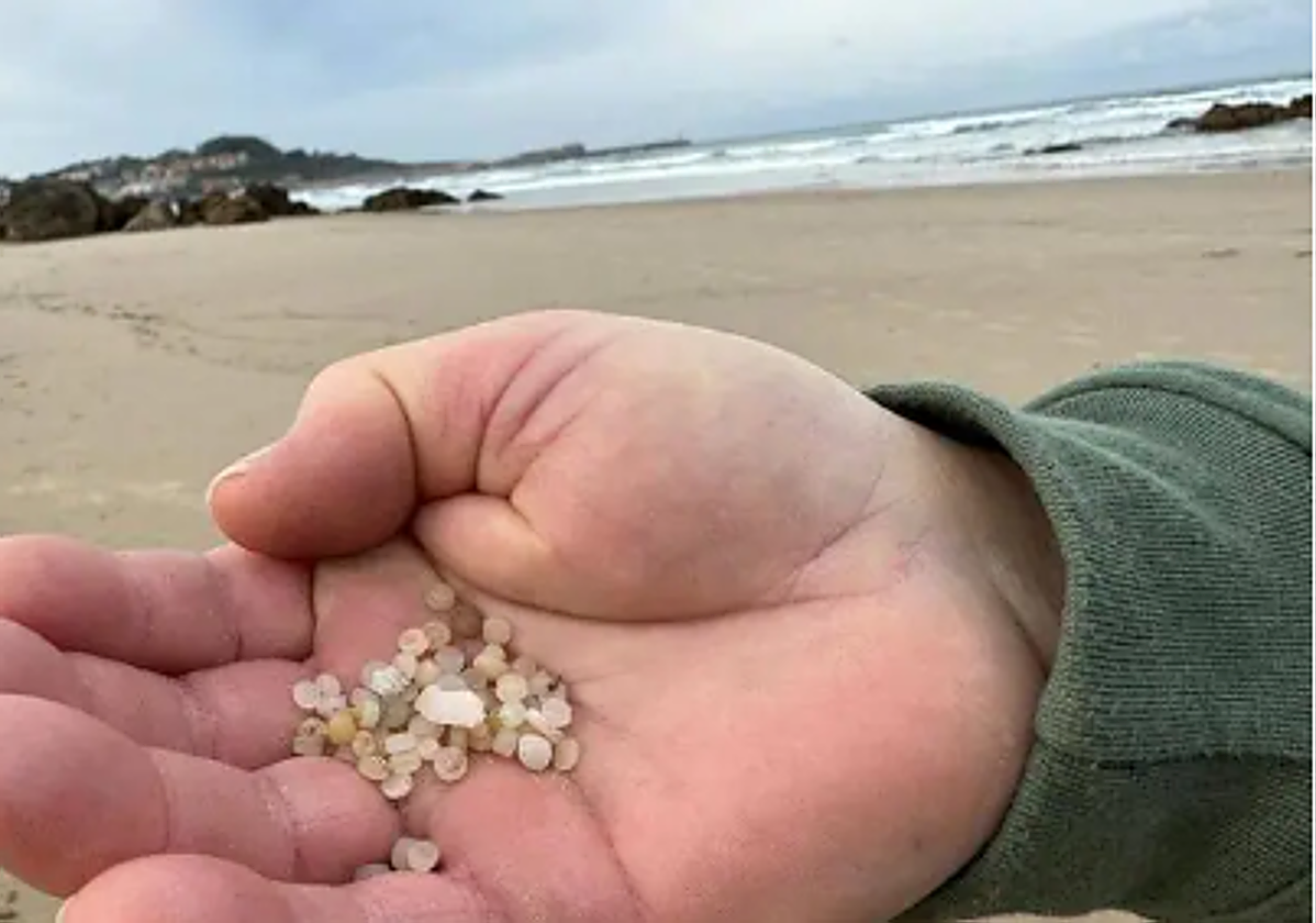 Cantabria eleva al nivel 2 su plan de emergencia para poder solicitar la intervención del Gobierno central en alta mar