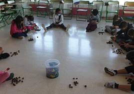 El plazo de matriculación para el próximo curso 2024/25 se abrirá del 7 al 23 de febrero.