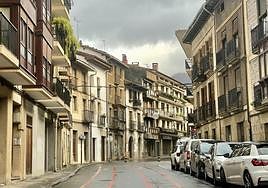 Hace tiempo que se viene detectando la proliferación de termitas en los cascos históricos, donde hay más edificios vacíos y son además antiguos.