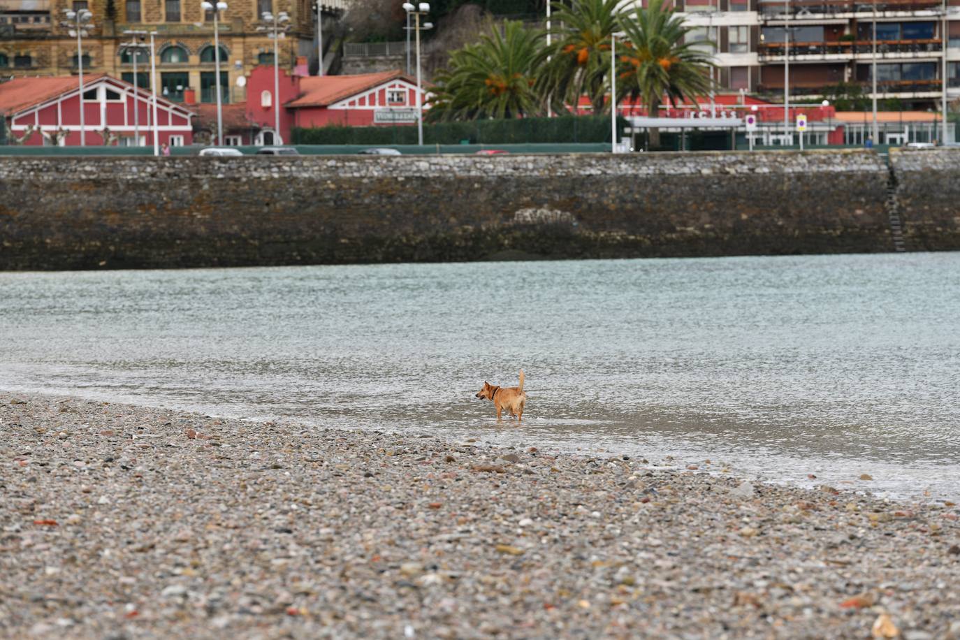 Mañana de nubes y temperaturas altas en San Sebastián
