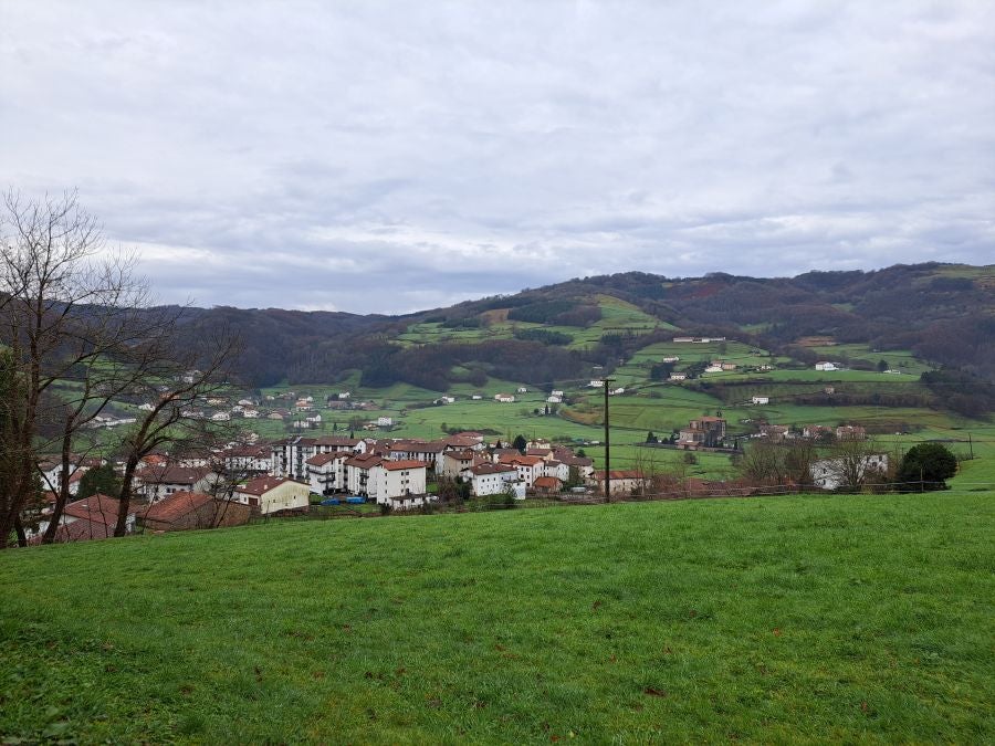 Ipuliño, hayas, pinos, robles y demás árboles en la muga de Gipuzkoa y Navarra