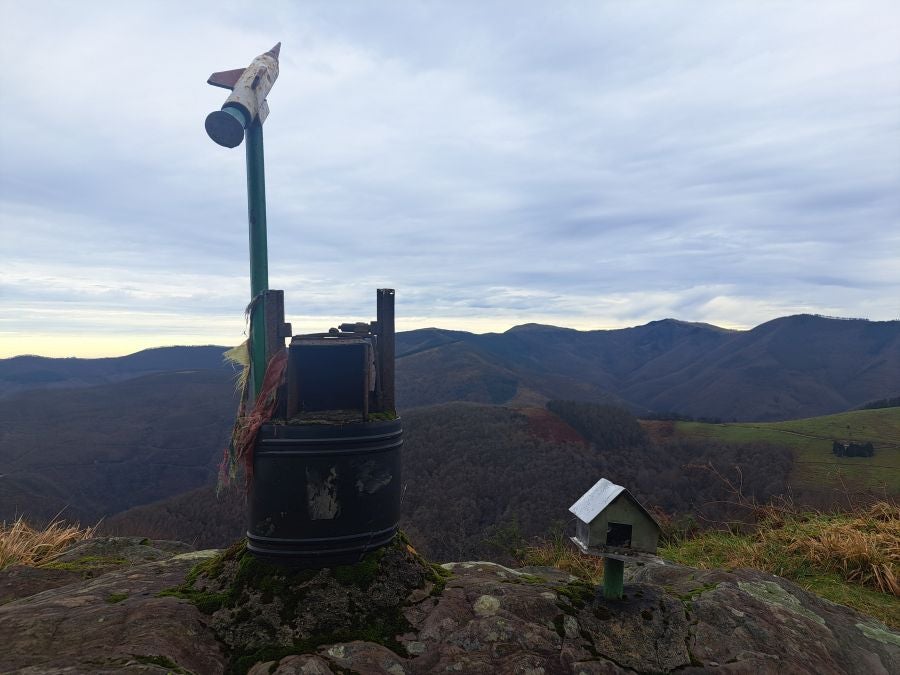 Ipuliño, hayas, pinos, robles y demás árboles en la muga de Gipuzkoa y Navarra