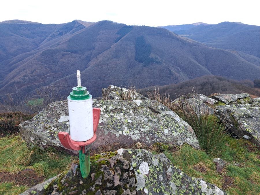 Ipuliño, hayas, pinos, robles y demás árboles en la muga de Gipuzkoa y Navarra