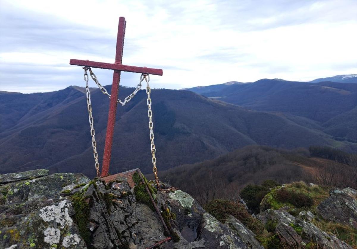 Ipuliño, hayas, pinos, robles y demás árboles en la muga de Gipuzkoa y Navarra