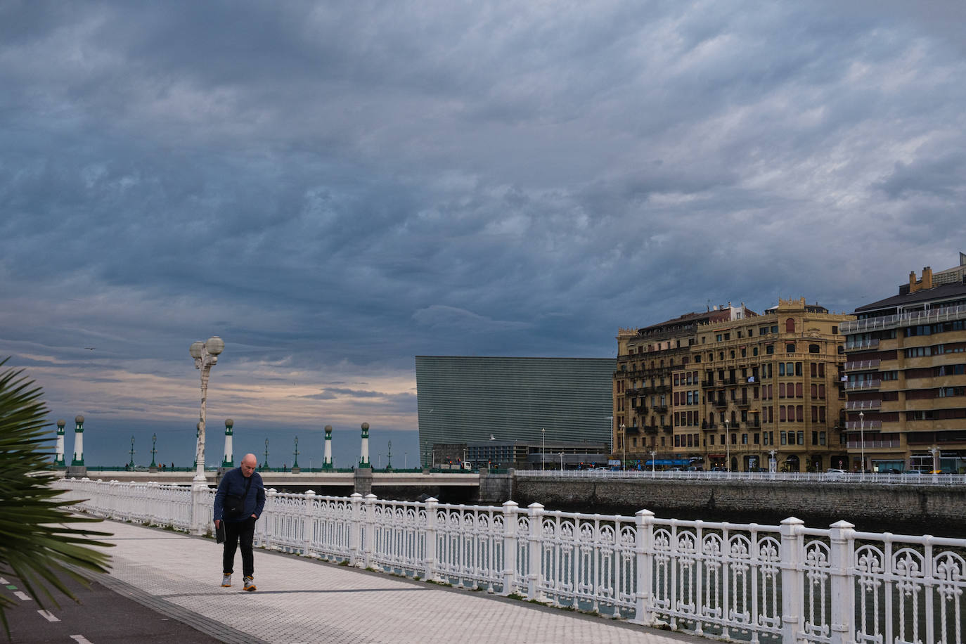 Primavera en enero en Gipuzkoa