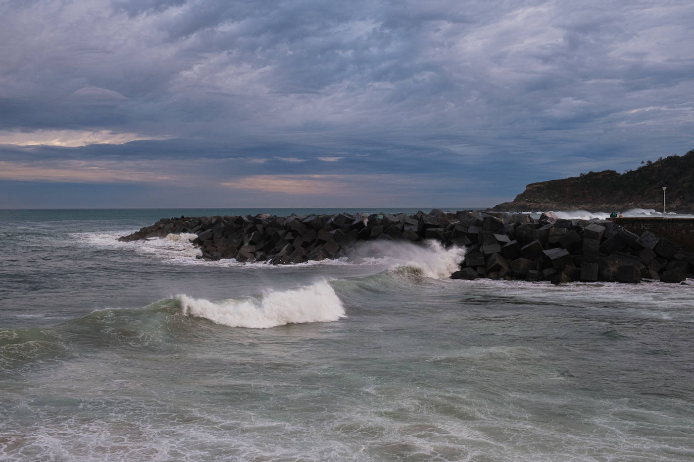 Primavera en enero en Gipuzkoa