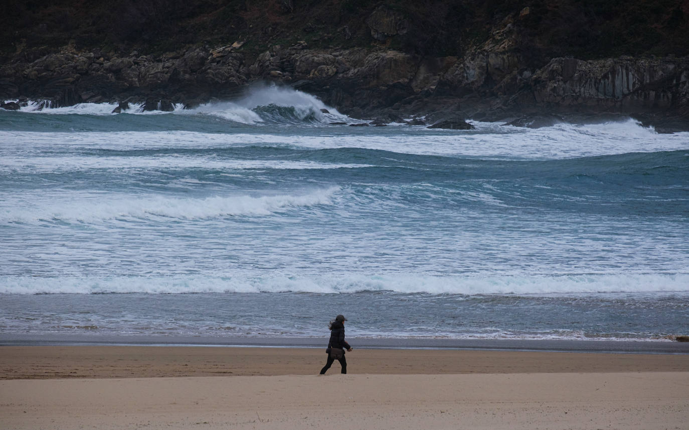 Primavera en enero en Gipuzkoa