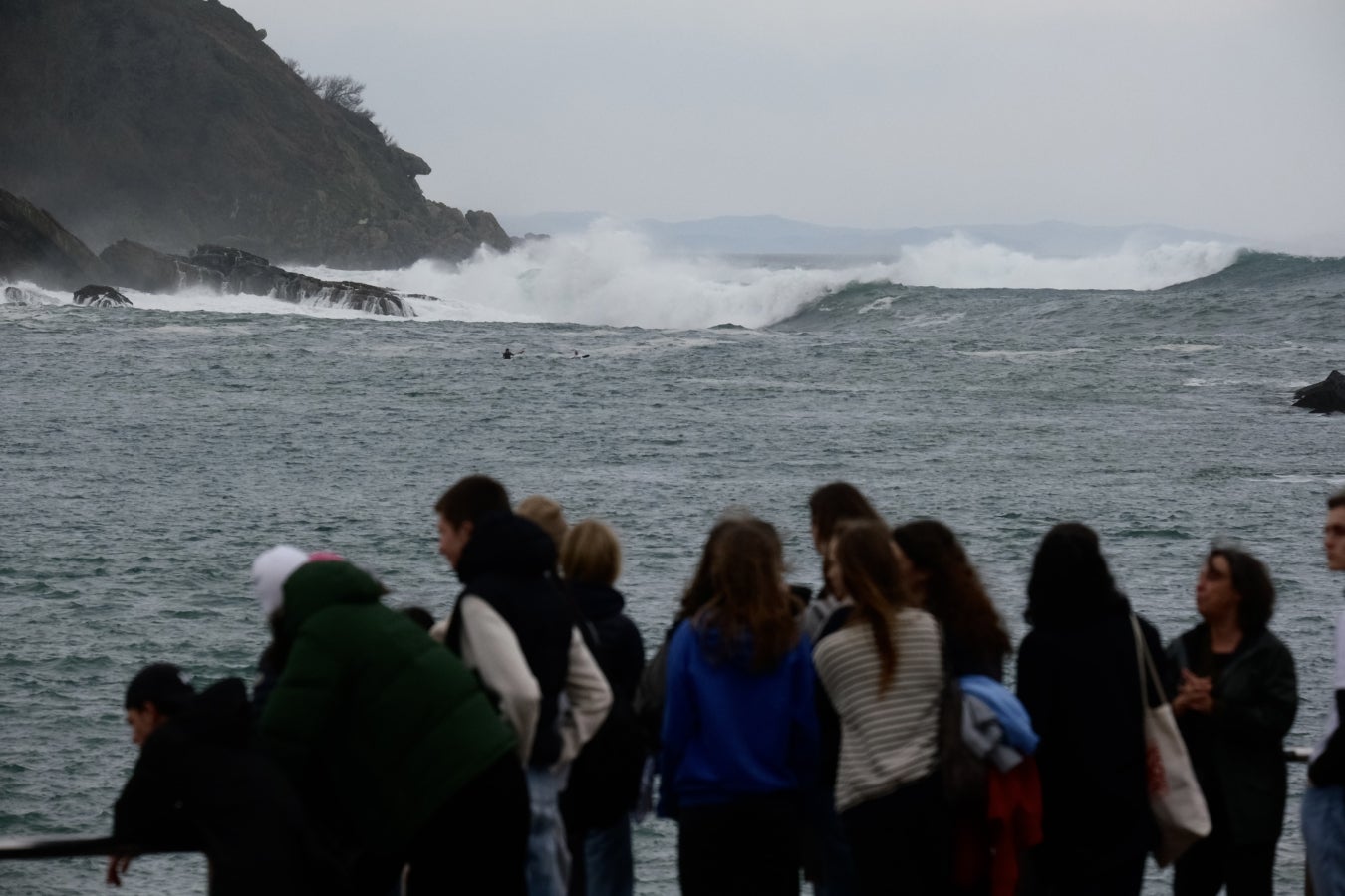 Primavera en enero en Gipuzkoa