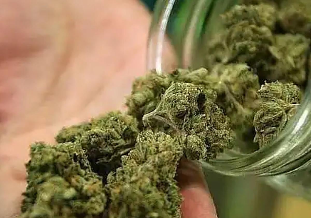 Detenido en Pasaia con más de cien tarros llenos de marihuana y hachís