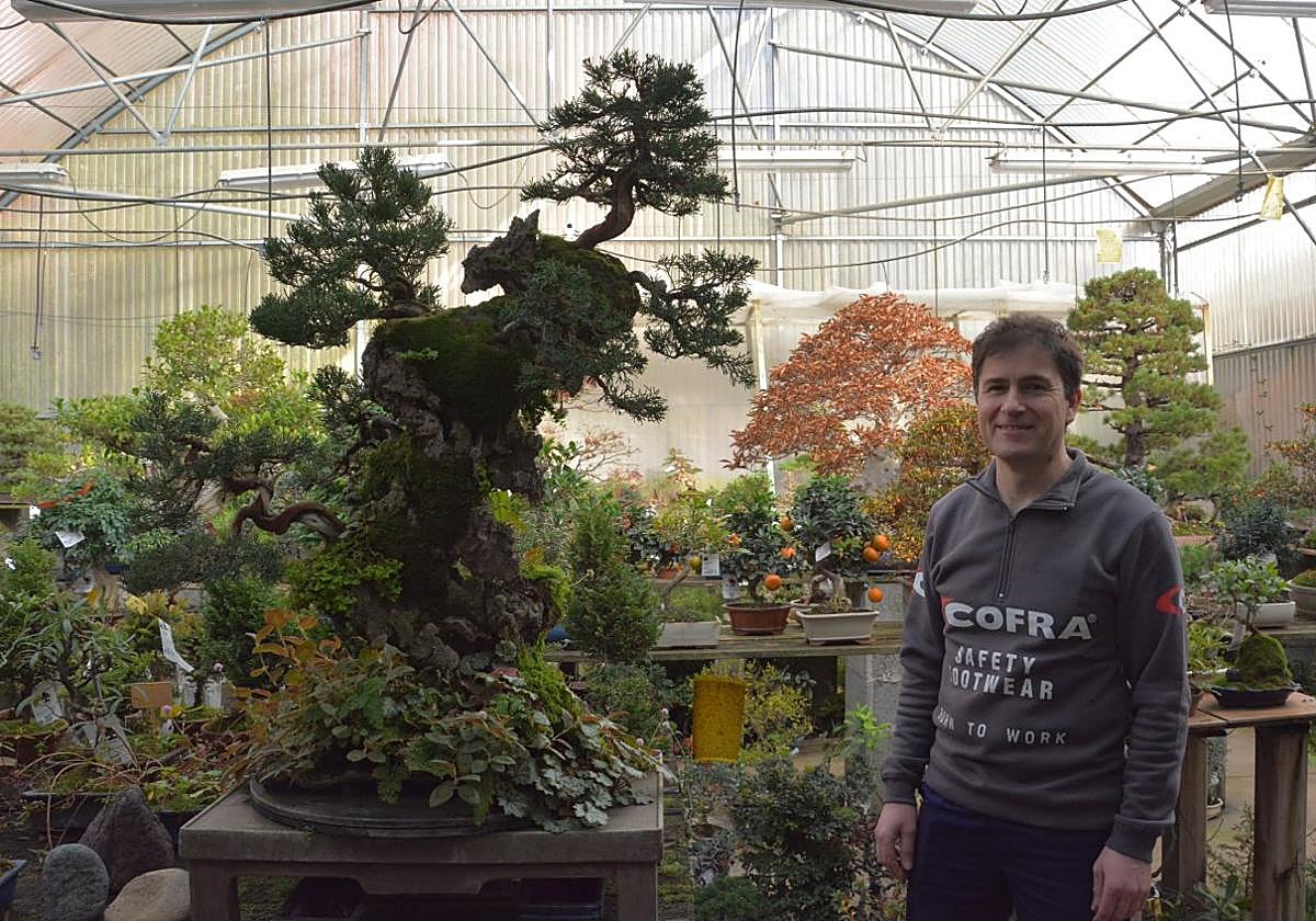 Javier Lumbreras en el vivero, rodeado de los bonsáis que importa, crea y vende.
