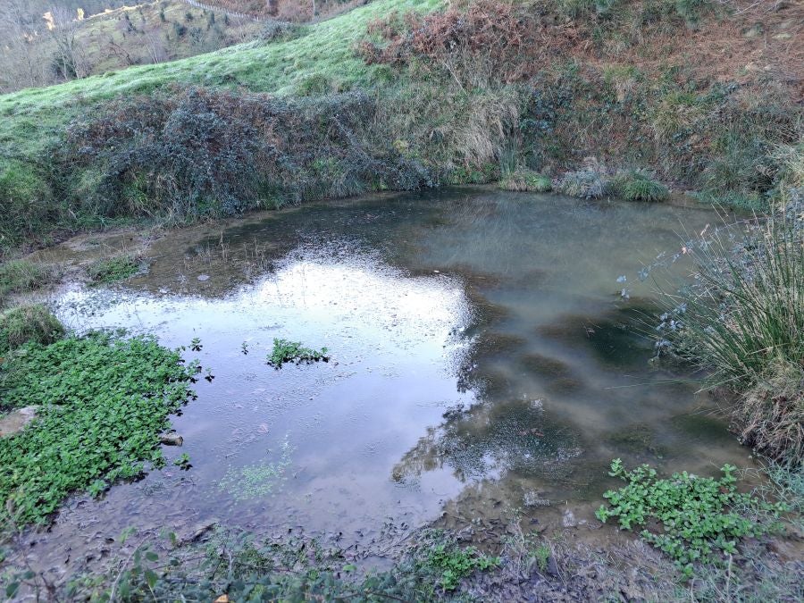 La belleza natural de Arno