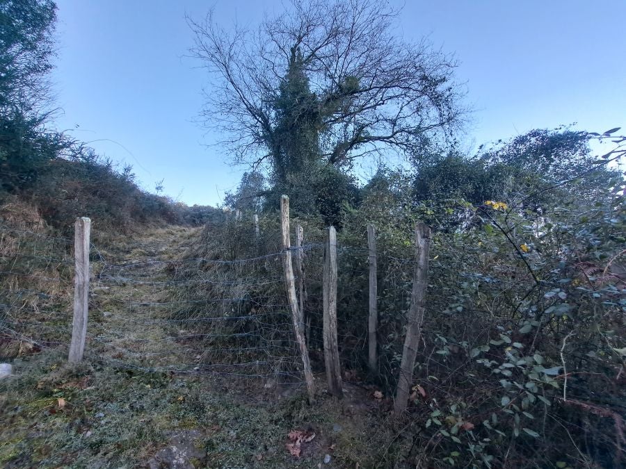 La belleza natural de Arno