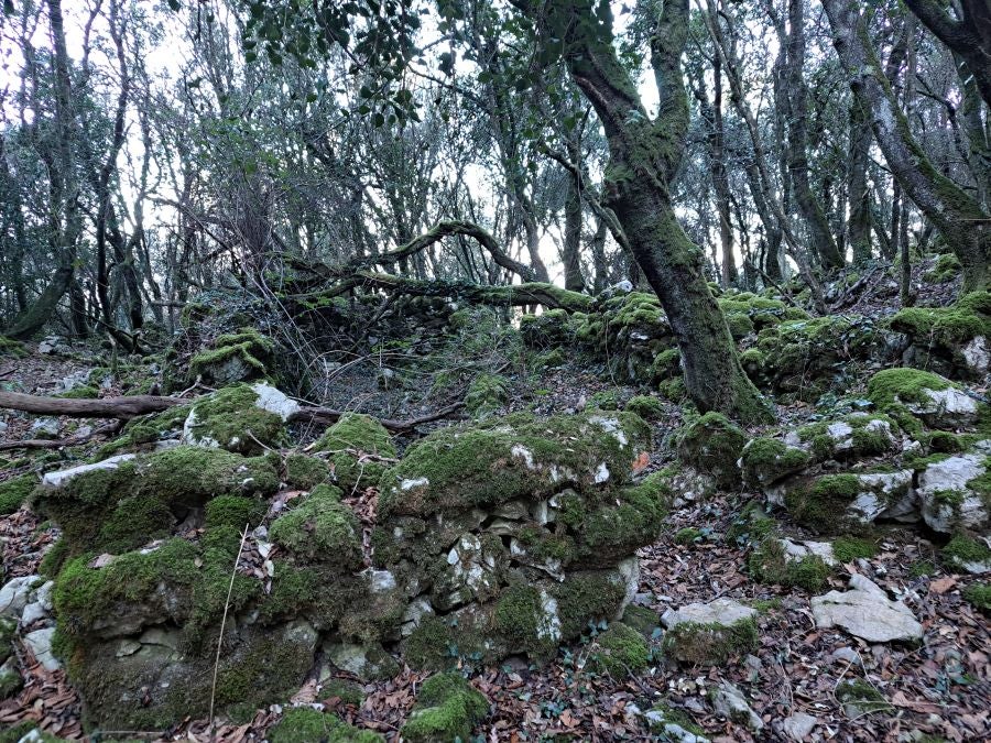 La belleza natural de Arno
