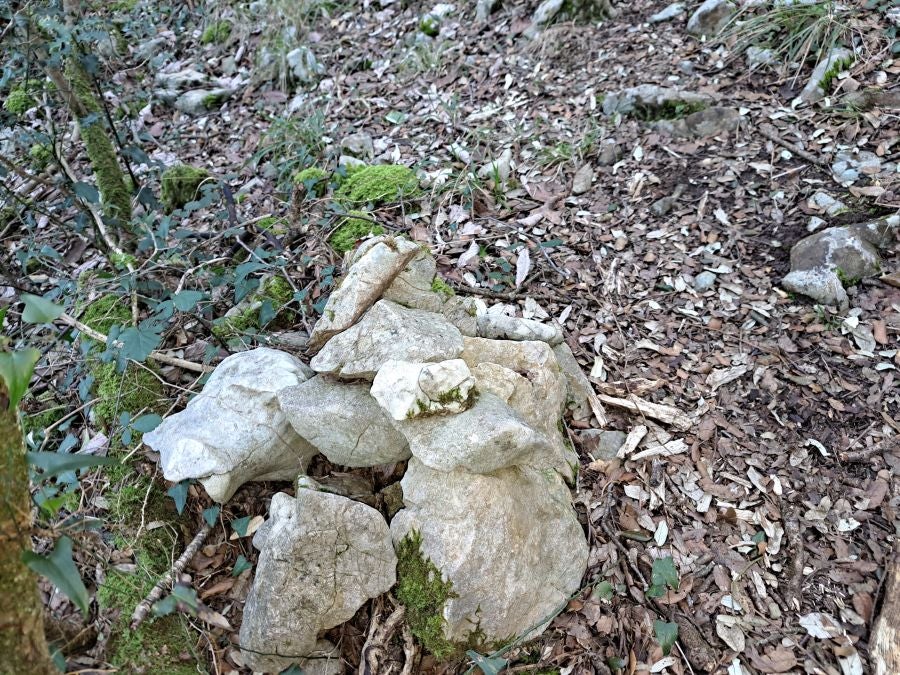 La belleza natural de Arno