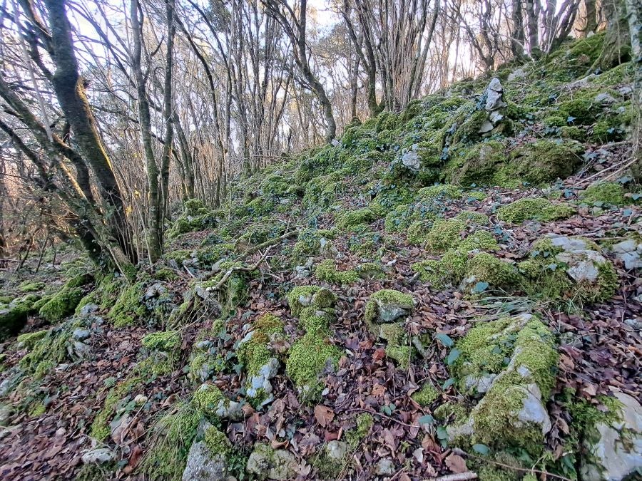 La belleza natural de Arno