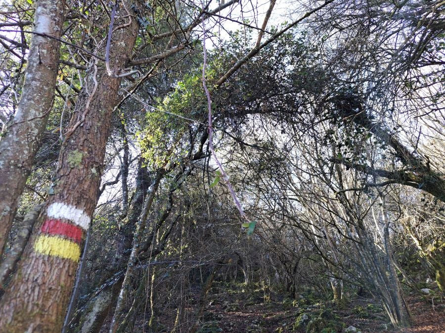 La belleza natural de Arno