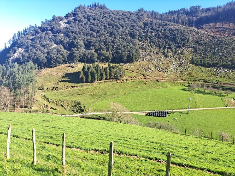 La belleza natural de Arno