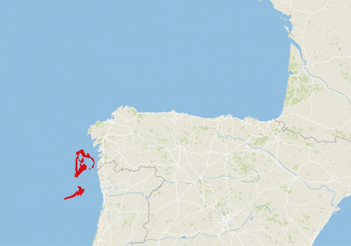 ¿Dónde están los pélets?