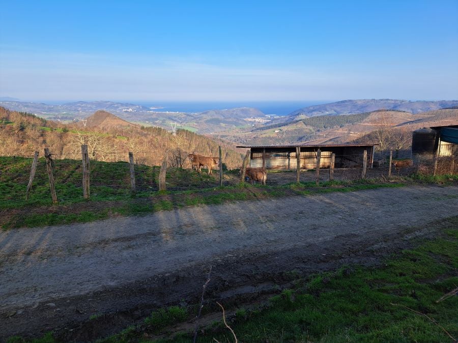 Ezkeltzu, el precioso balcón de Zizurkil