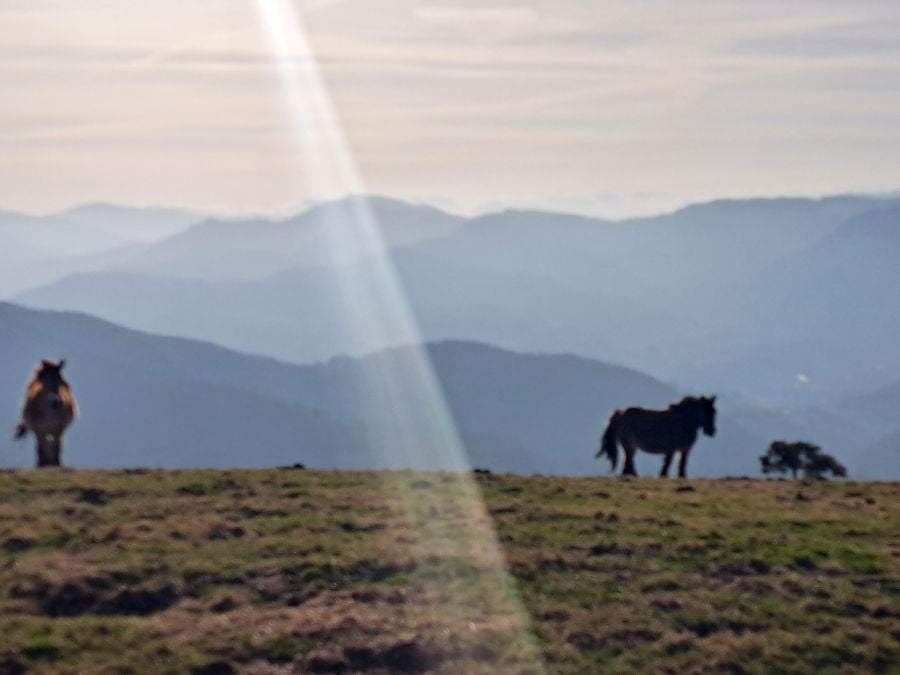 Ezkeltzu, el precioso balcón de Zizurkil