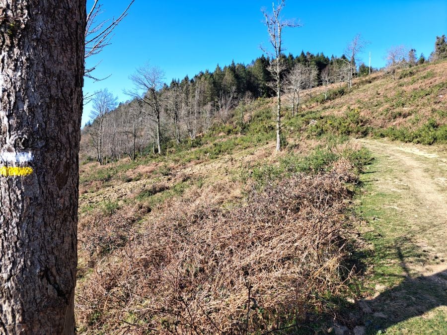 Ezkeltzu, el precioso balcón de Zizurkil